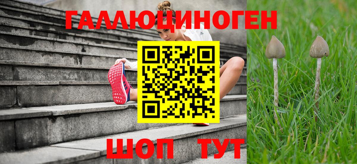 Псилоцибиновые грибы мицелий Гагарин