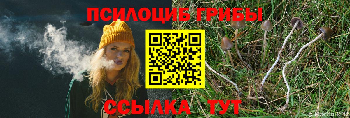 Галлюциногенные грибы ЛСД  Вход с VPN  Галлюциногенные грибы ЛСД  Гагарин 